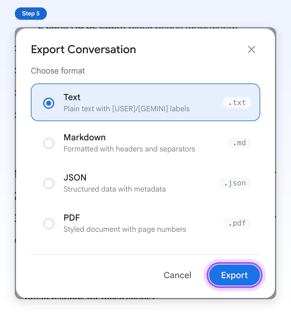 The Export button highlighted at the bottom of the Export Conversation window
