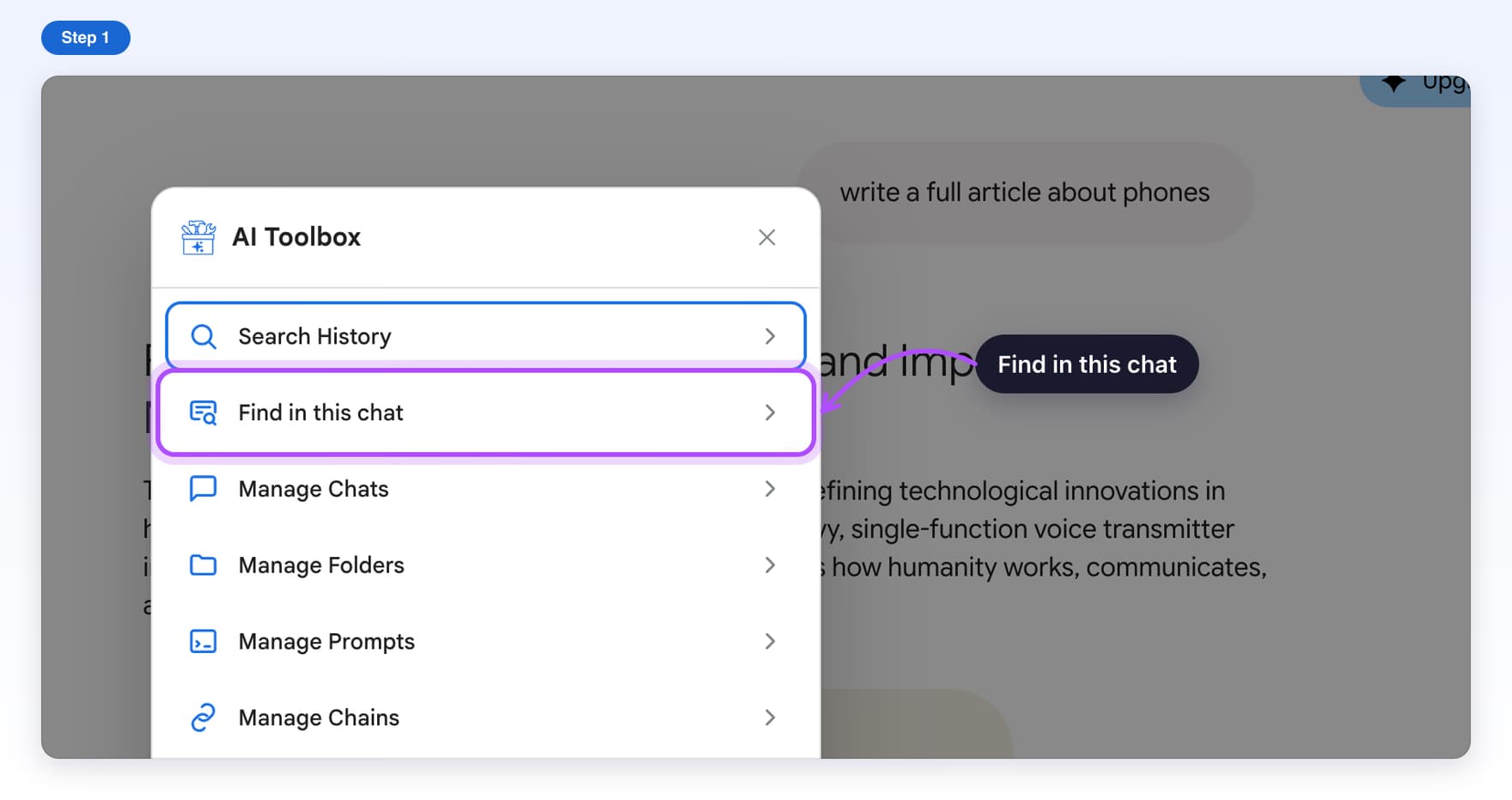 The AI Toolbox list on Gemini with Find in this chat highlighted, right under Search History