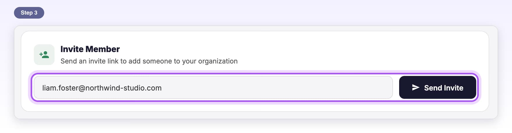 The Invite Member box with a teammate's email typed and the Send Invite button, highlighted